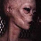 Alien – Echtes Bild oder Fälschung?