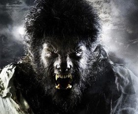wolfman neu