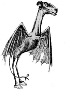 Jersey Devil, Zeichnung aus Philadelphia Evening Bulletin, 1909