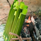 In solchen Bambusbehältern wird der Bajang „aufbewahrt“. | Quelle: http://burungpipit91.blogspot.com